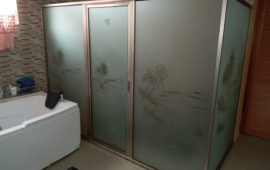 IMG-20210812-WA0046